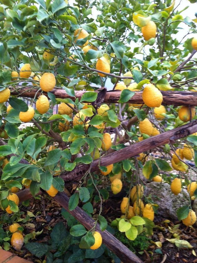 La Locanda Dei Fiori Bompensiere Exteriör bild